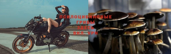 мескалин Ладушкин