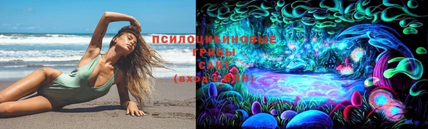 2c-b Лабытнанги