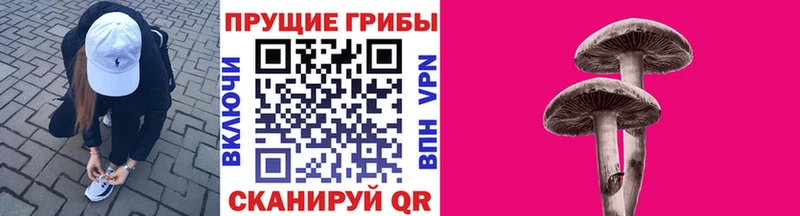 Псилоцибиновые грибы прущие грибы  Нальчик 